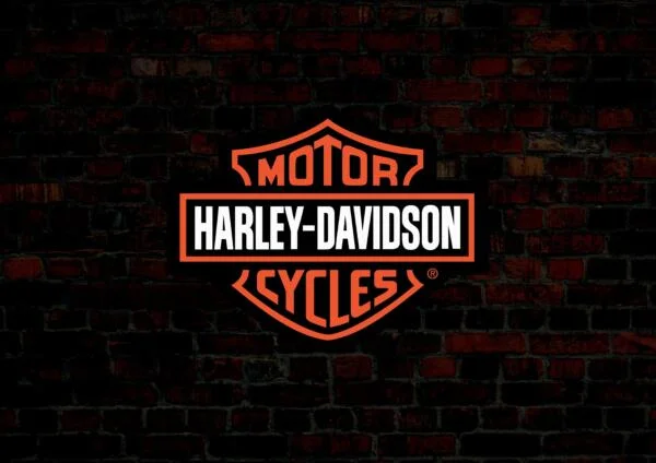 Large 3D LED Logo Harley Davidson Sign Neon 65 x 30 CM (Copy)