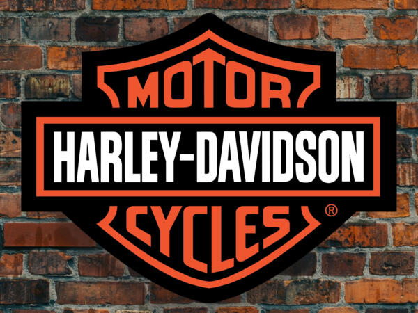 Grande segno 3D LED Harley Davidson Logo al neon 62 x 48 CM