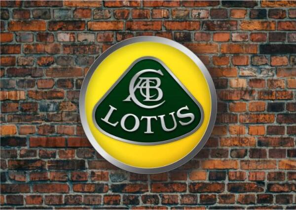 Podświetlane Logo 3D LED Lotus 50-80 CM Reklama