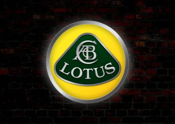 Verlicht 3D LED Lotus Logo 50-80 CM Reclame